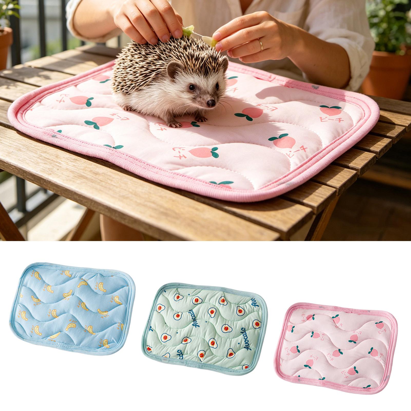 Pet Cooling Mat Washable Small - Outdoor Camping Dog Bed 评论和价格