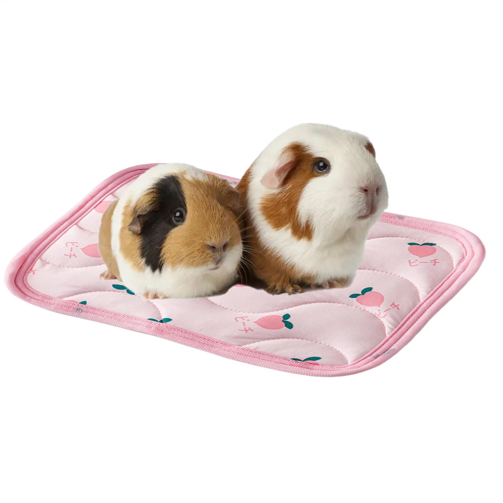 Pet Cooling Mat Washable Small - Outdoor Camping Dog Bed 评论和价格