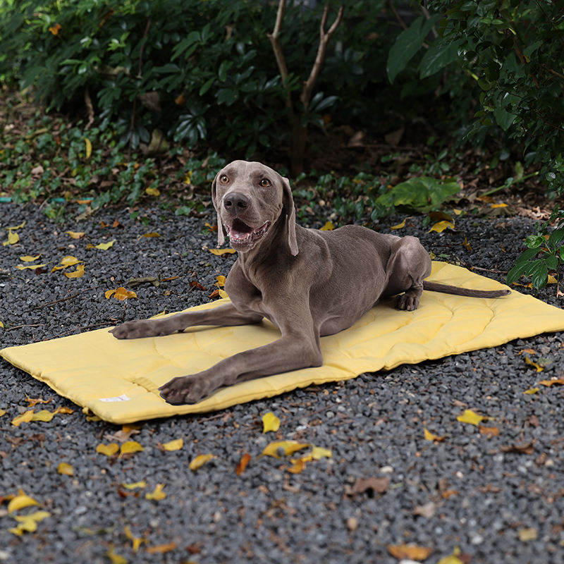 Portable Pet Mat Foldable Pet  - Outdoor Camping Dog Bed 评论和价格