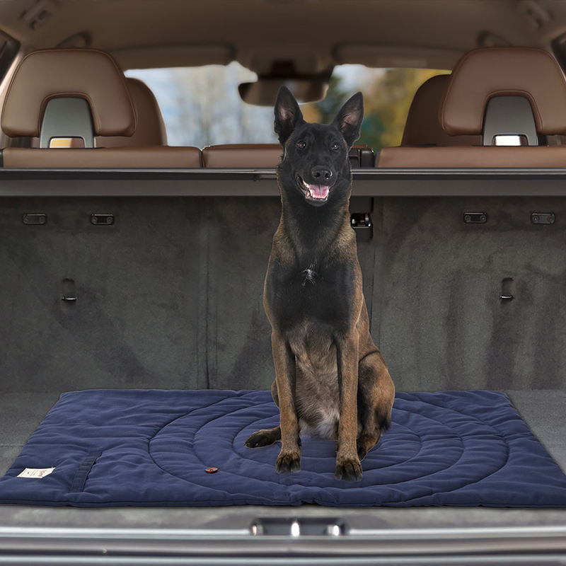 Portable Pet Mat Foldable Pet  - Outdoor Camping Dog Bed 评论和价格