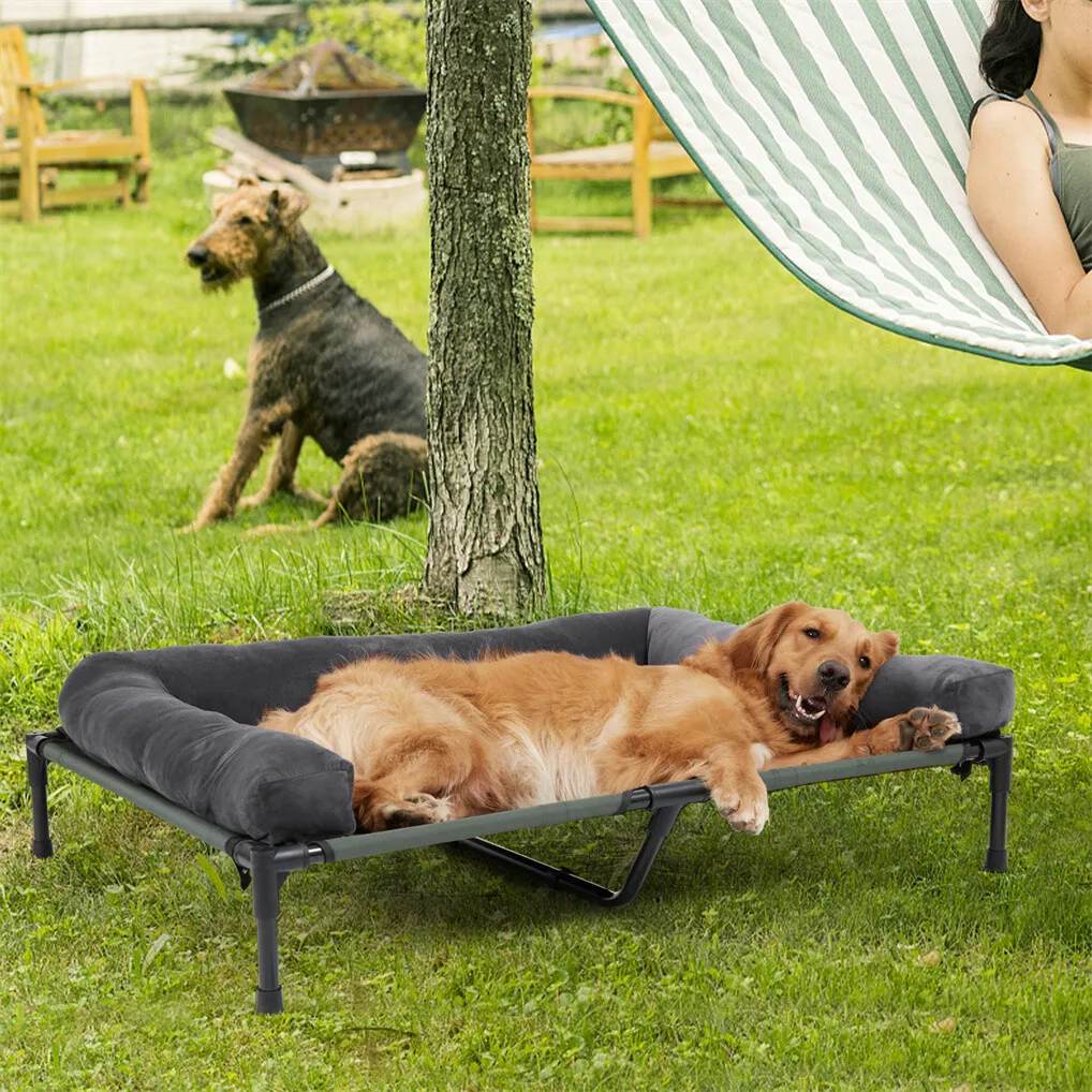 BINGOPAW Outdoor Dog Bed Eleva - Bed Outdoor Camping 评论和价格
